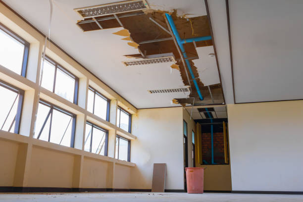 Best Water damage restoration near me  in Ringgold, LA