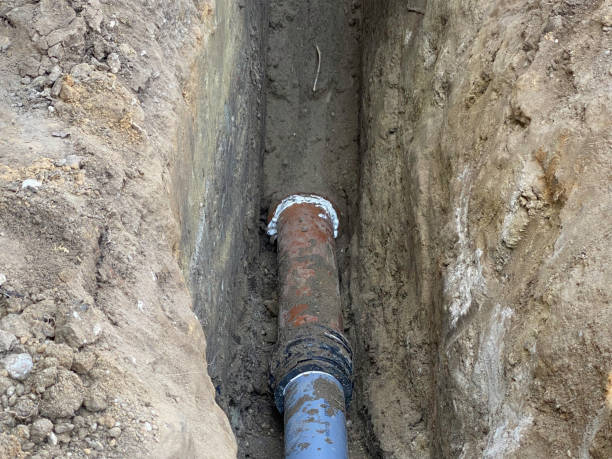 Best Basement water damage restoration  in Ringgold, LA