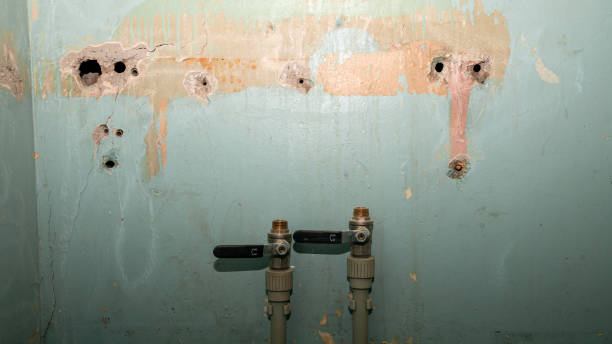 Best Flood damage cleanup  in Ringgold, LA